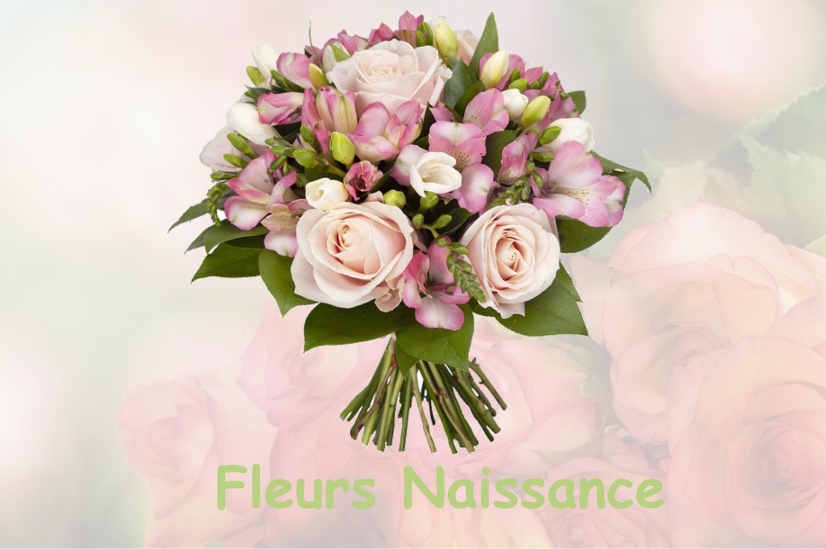 fleurs naissance TOURNAY-SUR-ODON